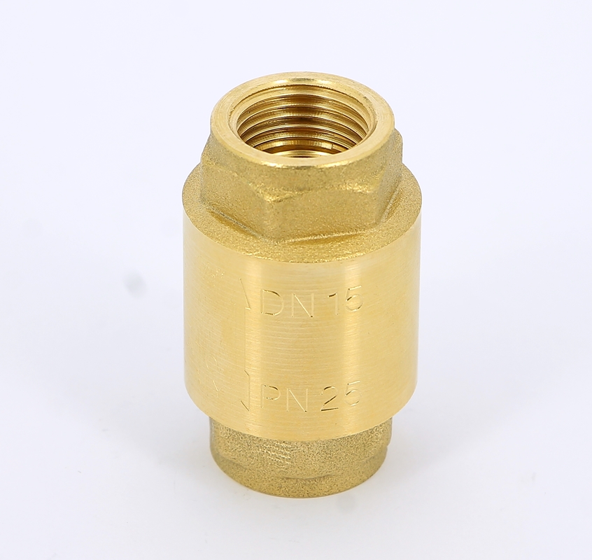 Клапан обратный пружинный EUROPA с металлическим затвором ITAP 1/2\" 100 ...